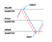 Crest root